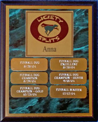 Anna's NAFA Titles