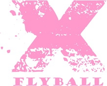X Flyball Team