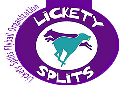 Lickety Splits Flyball Team